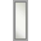 Amanti Art 20" x 54" Non-Beveled Peak Polished Nickel Full Length on The Door Mirror : Includes Mounting Hardware, Rectangle Shape