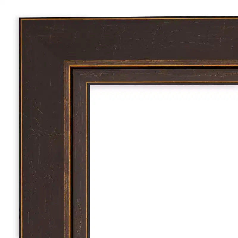 Miroir mural en bois bronze biseauté Lara Amanti Art 45 po x 35 po : Rectangulaire moderne, aucun assemblage requis