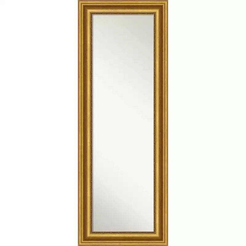 20" x 54" Non-Beveled Parlor Gold Full Length on The Door Mirror - Amanti Art: Includes Hooks, Polystyrene Frame, No Assembly Required