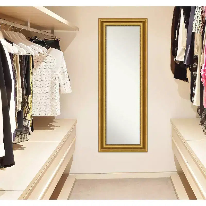 Miroir de porte sur toute la longueur 20 po x 54 po doré non biseauté pour salon - Amanti Art : Crochets inclus, cadre en polystyrène, aucun assemblage requis