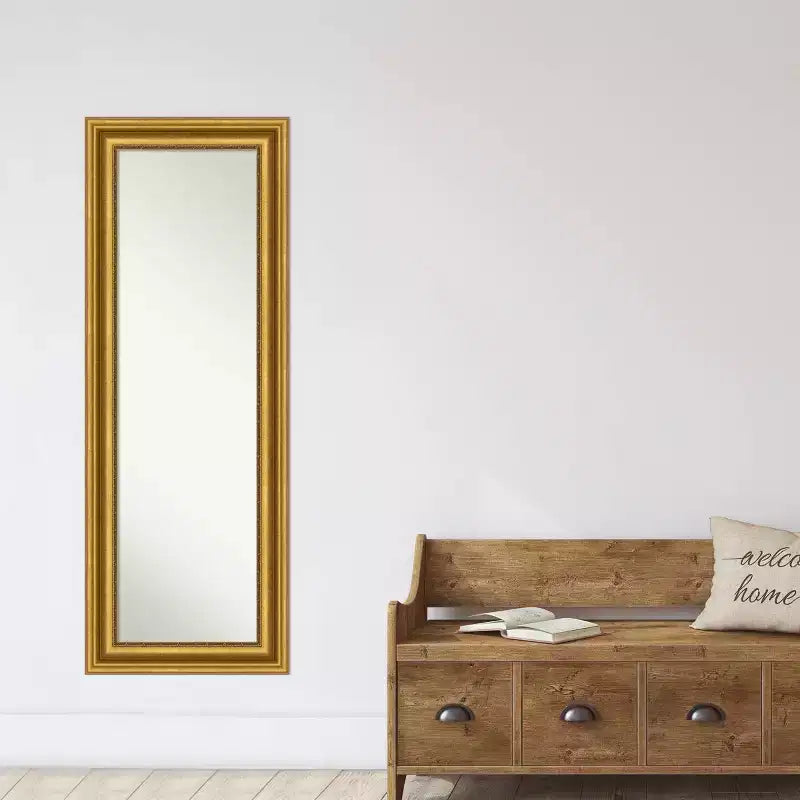 Miroir de porte sur toute la longueur 20 po x 54 po doré non biseauté pour salon - Amanti Art : Crochets inclus, cadre en polystyrène, aucun assemblage requis
