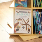 EdQ Présentoir rotatif grand format blanc : Étagère à livres à 3 niveaux pour le rangement en classe, Organisateur de livres avec étagères en acrylique pour l'organisation de l'école à la maison