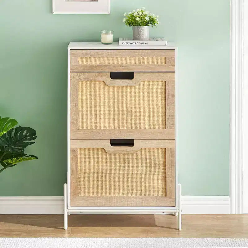 Meuble de rangement en rotin naturel Acekool avec 2 tiroirs basculants, étagères réglables et pieds en métal, organiseur de chaussures mince pour entrée