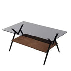 Table Basse à 2 Niveaux Okak Modern avec Plateau en Verre Trempé et Pieds en Métal Robustes, Table d'Appoint Centrale avec Étagère Ouverte pour Salon
