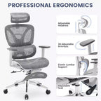 Chaise de bureau ergonomique Acekool