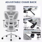 Chaise de bureau ergonomique Acekool