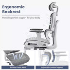 Chaise de bureau ergonomique Acekool