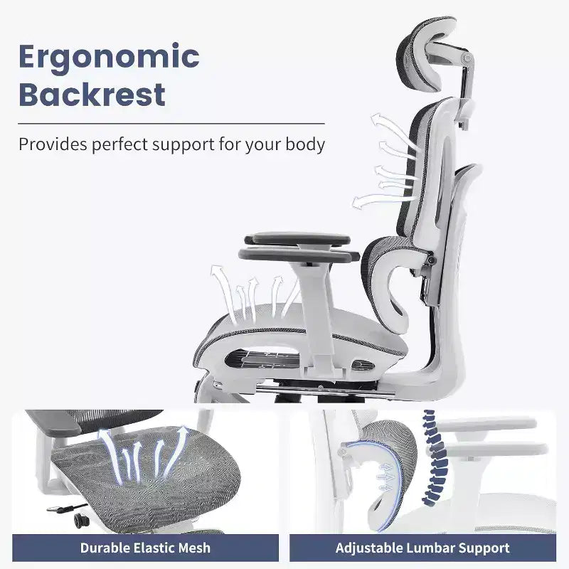 Chaise de bureau ergonomique Acekool