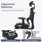 Chaise de bureau ergonomique Acekool