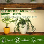Support à plantes, étagère métallique à 7 niveaux pour intérieur avec lumières de croissance - Étagère de présentation multi-niveaux pour plantes, décoration, salon