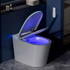 Dyonery Smart toilet, automatic lid opening, built-in bidet, warm air drying, ultraviolet sterilization