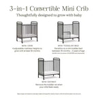 Mini-lit parapluie Abigail 3-en-1 convertible en métal Namesake