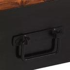 vidaXL Meuble TV Couleur bois naturel, noir