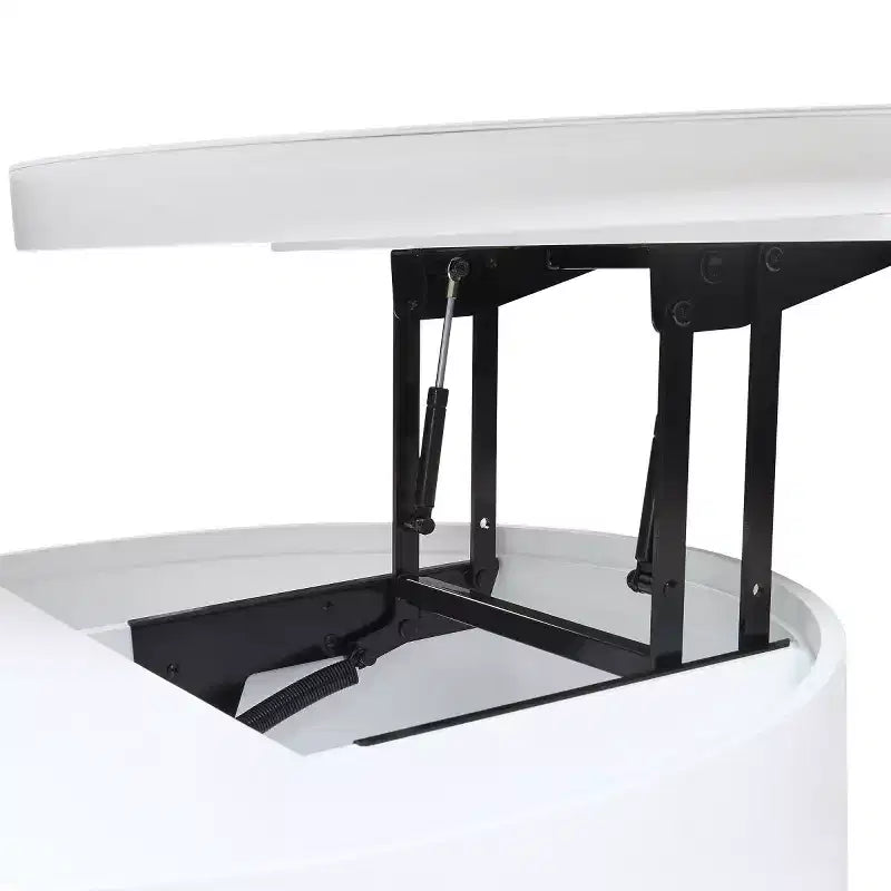 29,5 Table basse relevable moderne et ronde avec rangement, table d'appoint compacte pour petits salons ou appartements - Panipeachy