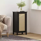 Meuble de rangement avec porte en rotin tressé, Organisateur autoportant peu encombrant à 2 niveaux, Table de chevet de finition pour salle de bain, cuisine, salon
