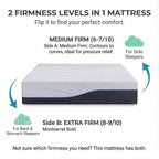 Matelas en mousse à mémoire de forme Dyonery 12-14 pouces Twin XL, ferme, gel rafraîchissant, thé vert, livré dans une boîte, housse sans fibre de verre, soutien anti-pression