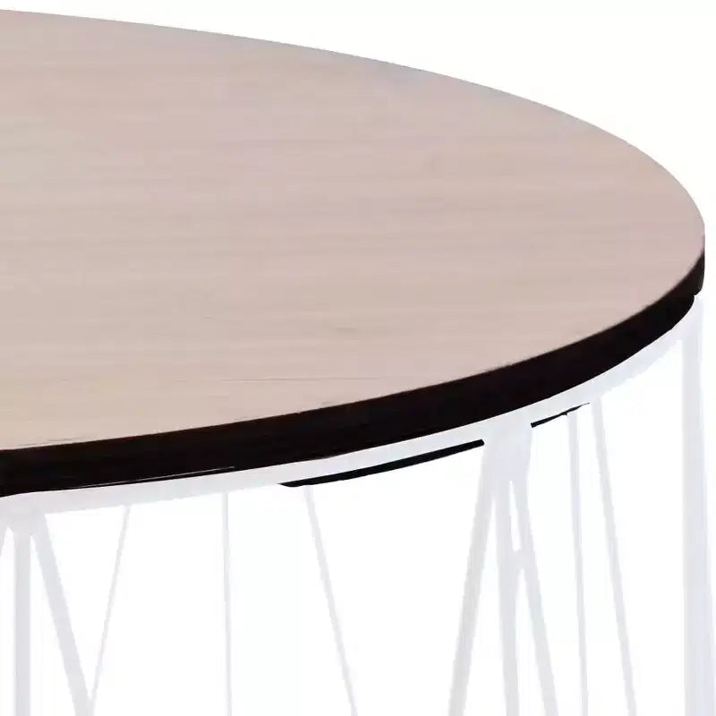 vidaXL Table basse 2 pcs Table d'appoint ronde Table de salon Meubles de salon
