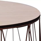 vidaXL Table basse 2 pcs Table d'appoint ronde Table de salon Meubles de salon