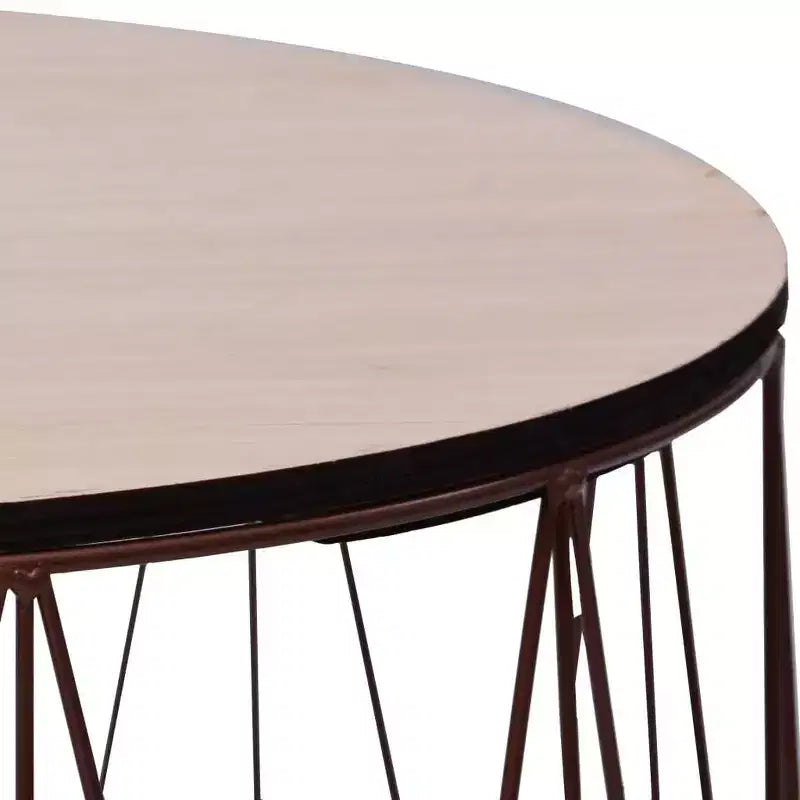 vidaXL Table basse 2 pcs Table d'appoint ronde Table de salon Meubles de salon