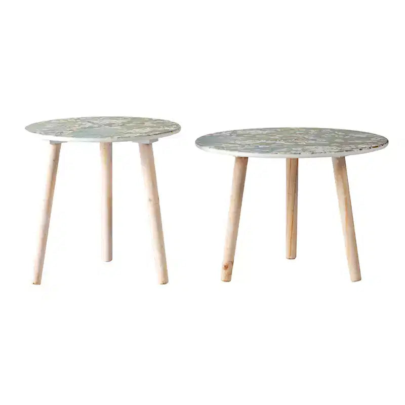 Lot de 2 tables d'appoint décoratives