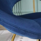Fauteuil d'appoint en velours soyeux TUYOHW, fauteuil de salon avec base traîneau en métal doré, dossier incurvé, fauteuil moderne pour salon, chambre à coucher