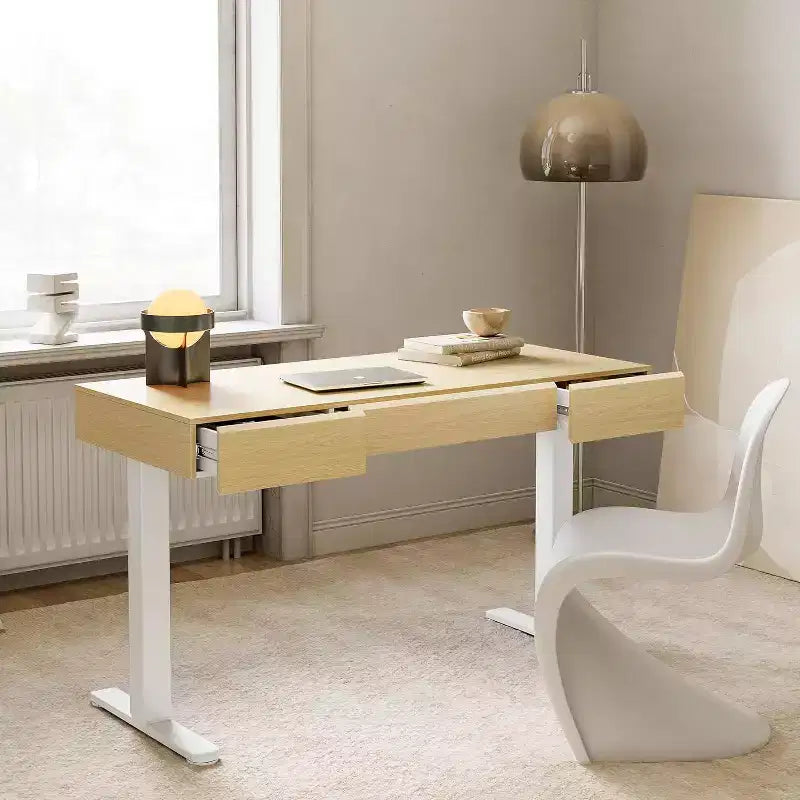 Bureau debout électrique de 48 pouces avec tiroirs, bureau réglable en hauteur avec rangement, poste de travail informatique pour bureau à domicile