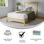 Matelas en mousse à mémoire de forme Merrick Lane CertiPUR-US infusé de charbon de bois et de gel rafraîchissant au thé vert