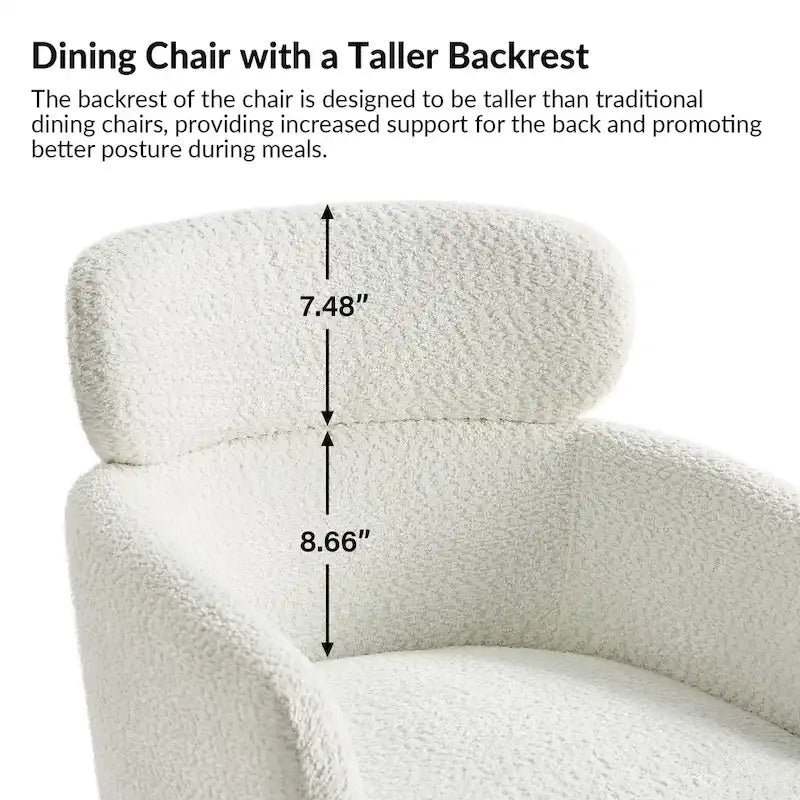 Chaise de salle à manger Amos Modern Boucle avec pieds réglables